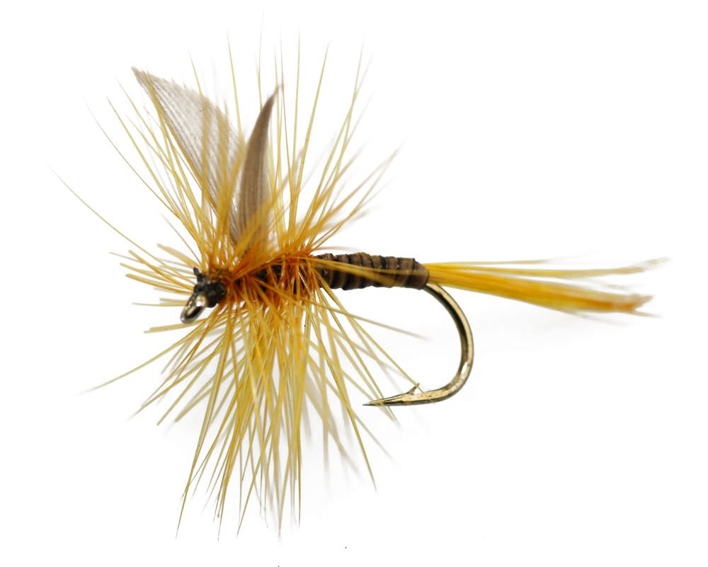 The Essential Fly Ginger Quill Fishing Fly