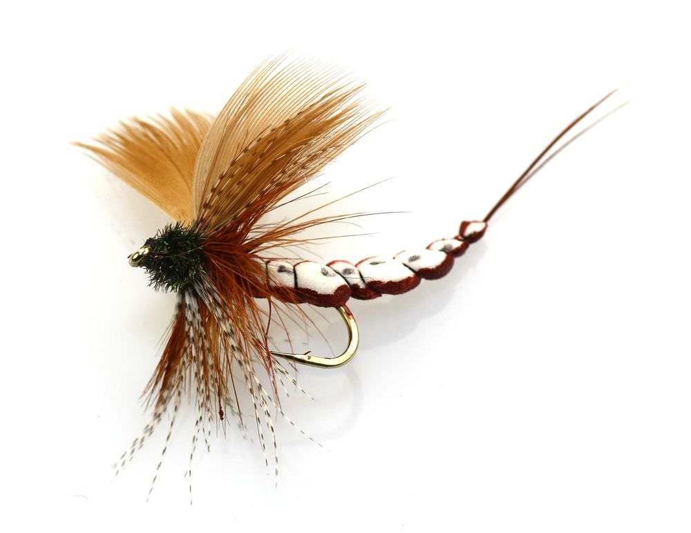 The Essential Fly Plazote Brown Mayfly Fishing Fly