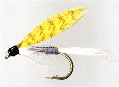 Dark Hendrickson Wet Fly