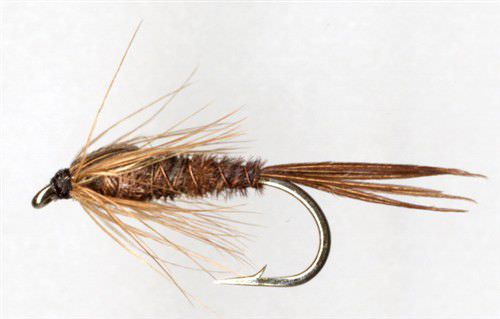5 Mary Pheasant Tail Nymphs Ptn Size 16 Tungsten Copper 3mm  Barbless Nymph