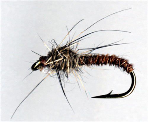 The Essential Fly Pheasant Tail Cove Ny Fishing Fly