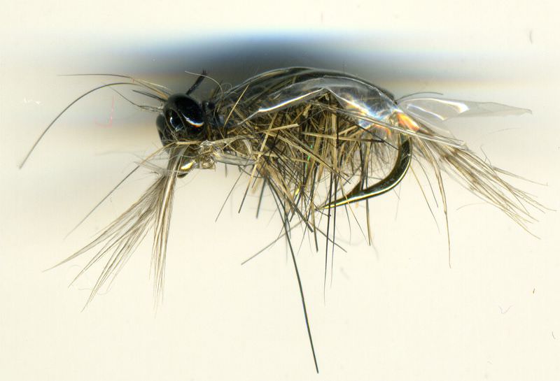 The Essential Fly Polish Shrimp Natural Fishing Fly
