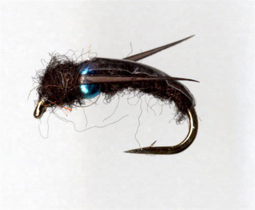 The Essential Fly Spectral Bug Black Fishing Fly