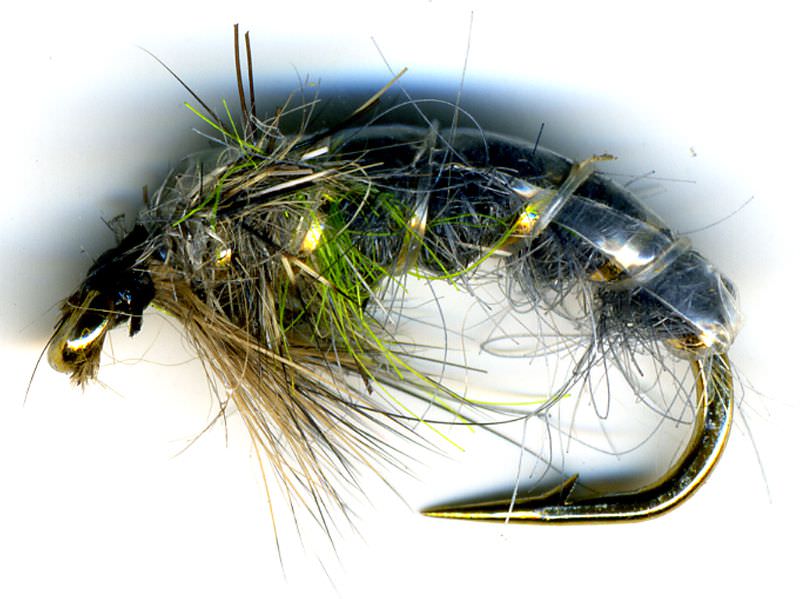 The Essential Fly Barbless Czech Nymph Green Pea Fishing Fly