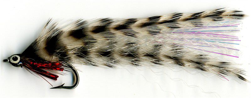 The Essential Fly Bass Grizzle Fishing Fly