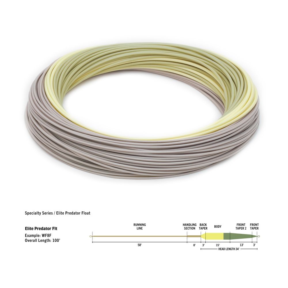 Rio Products Elite Predator Floating (Weight Forward) Wf8 Fly Line (Length 100ft / 30m)