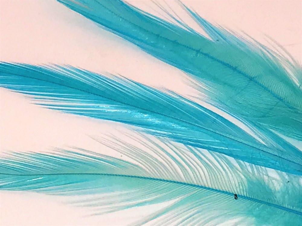 Veniard Loose Short Cock Hackles 1 Gram Kingfisher Blue Fly Tying Materials