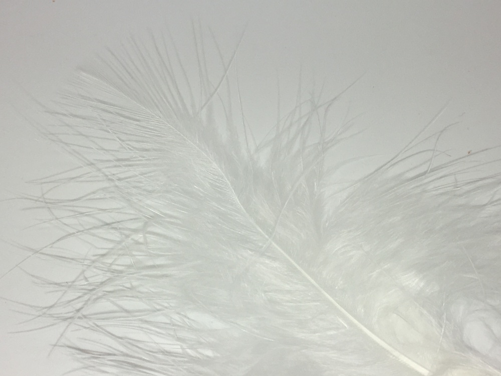 Veniard Turkey Marabou Feathers Bleached White