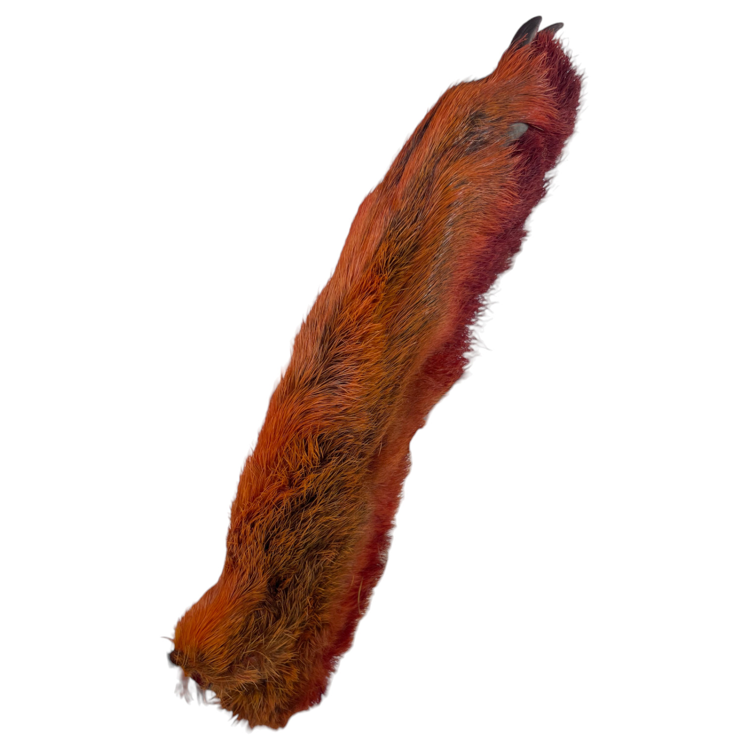 Snow Rabbit Feet Snowshoe Rabbit Feet Red for Fly Tying from The Essential Fly