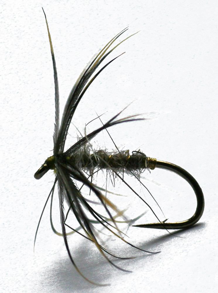 Hares Lug & Plover Northern Spider Trout Fly