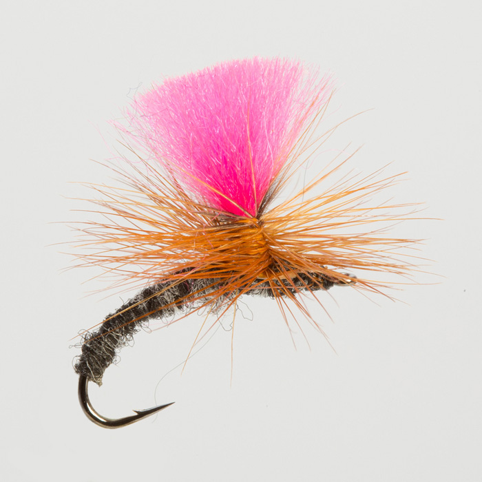 The Essential Fly Klinkhammer Dark Fishing Fly