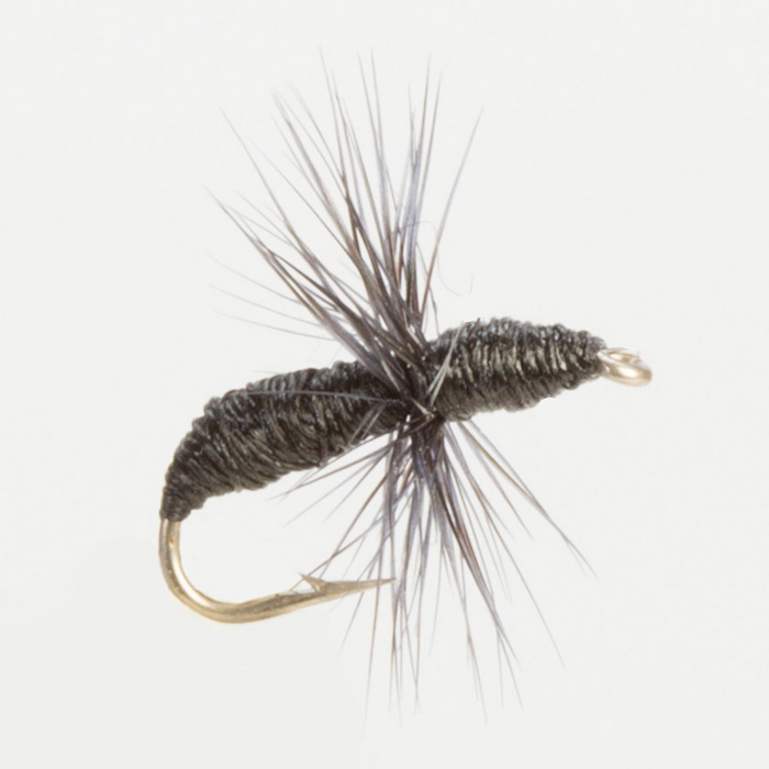 The Essential Fly Ant Black Terrestrial Fishing Fly