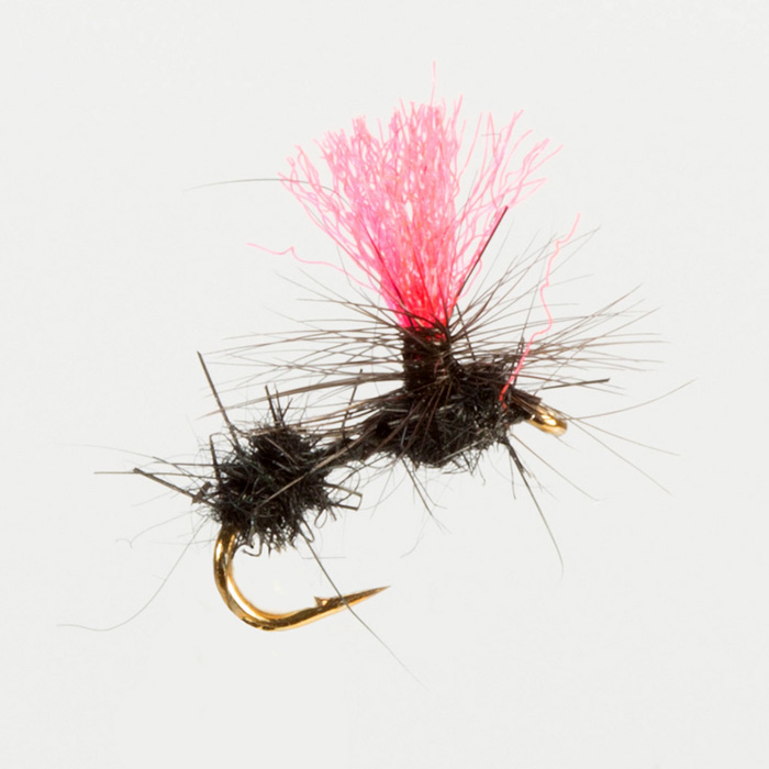 The Essential Fly Ant Hi Vis Terrestrial Fishing Fly