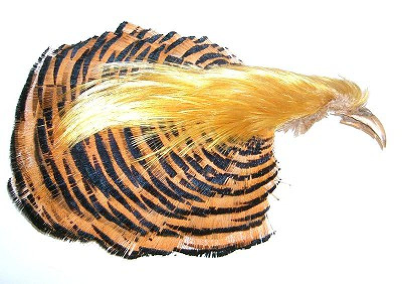 Veniard Golden Pheasant Complete Head Grade 2 Fly Tying Materials