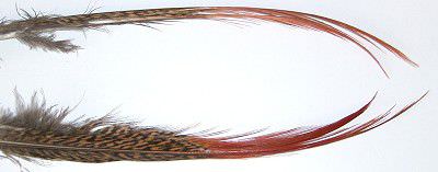 Veniard Golden Pheasant Red Spears Fly Tying Materials