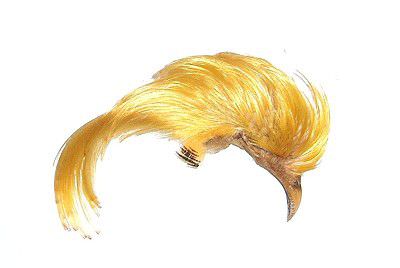 Veniard Golden Pheasant Topping Crest No 1 Fly Tying Materials
