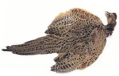 Veniard Hen Pheasant Ringneck Complete Skin Fly Tying Materials