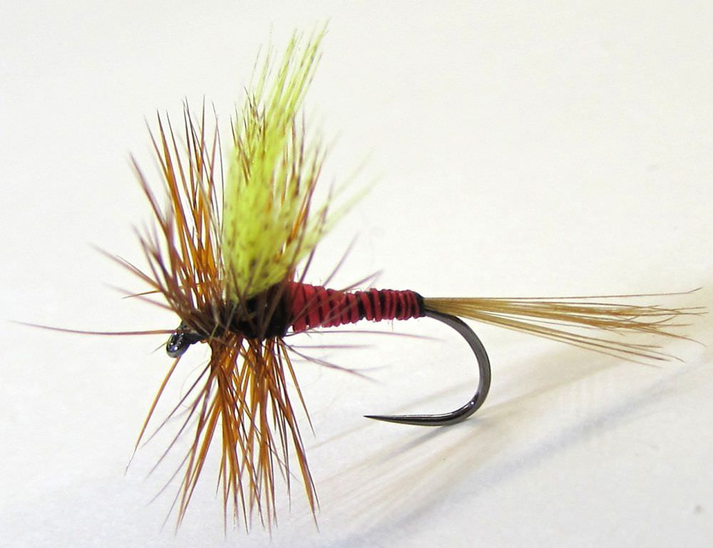 Barbless Red Quill