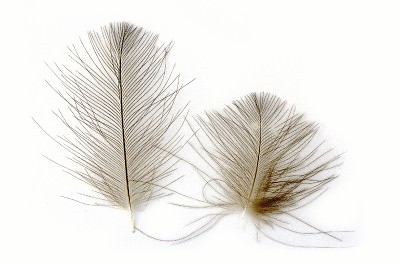 Veniard Cdc Super Select Feathers Natural White Fly Tying Materials