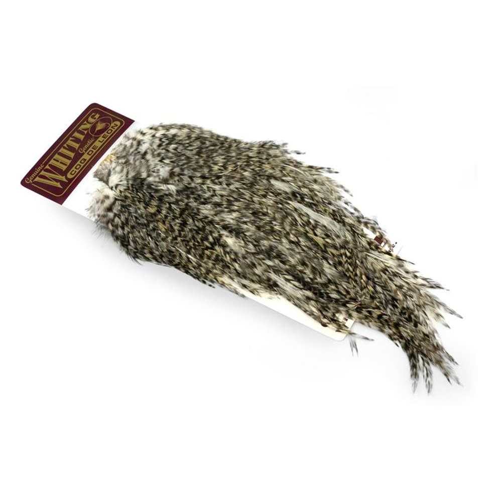 dealerweb-cms-1dbbbc97-6332-