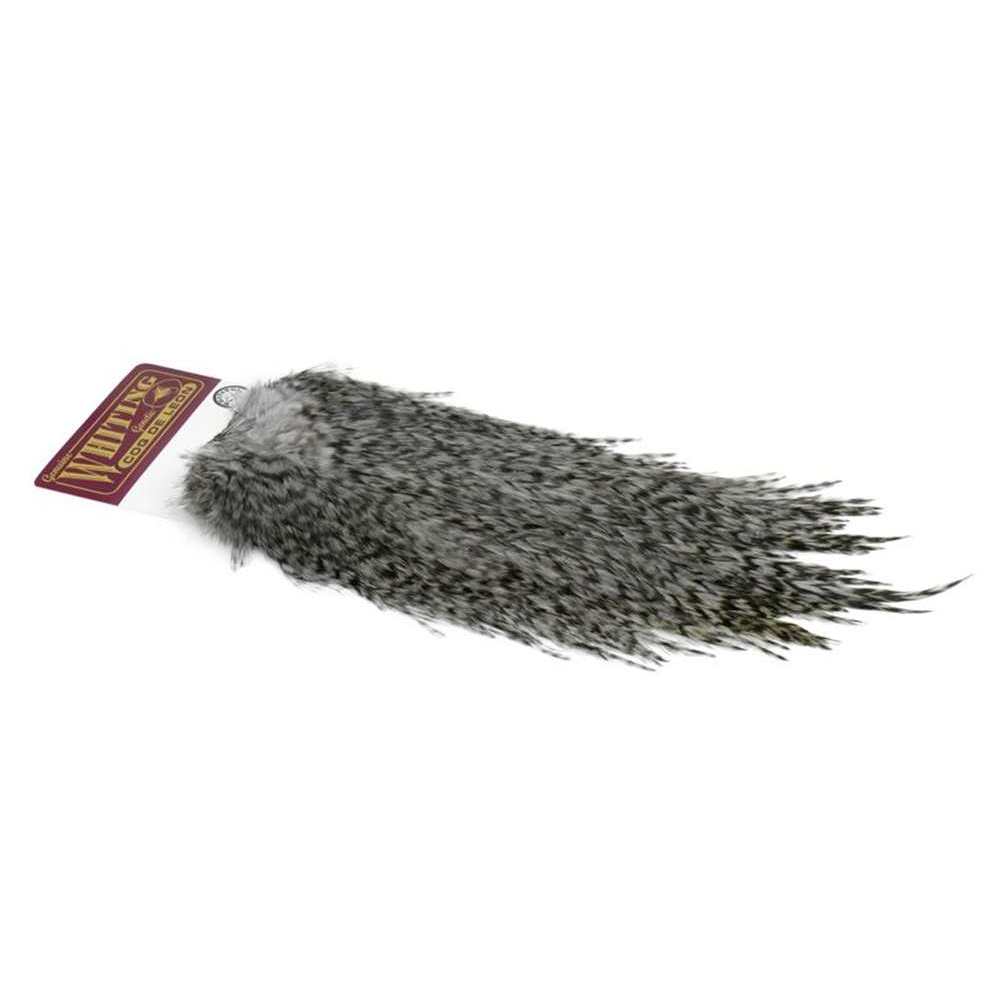 Coq de Leon Rooster Saddle Silver - Whiting