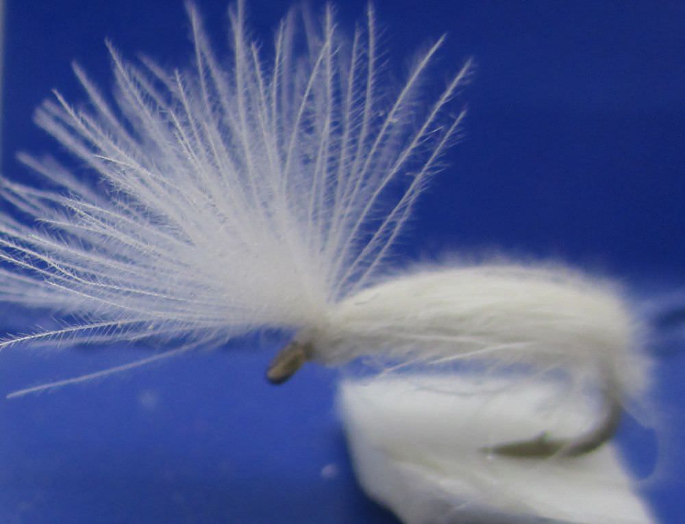 The Essential Fly Iotbb White It Ought To Be Banned! White Fishing Fly