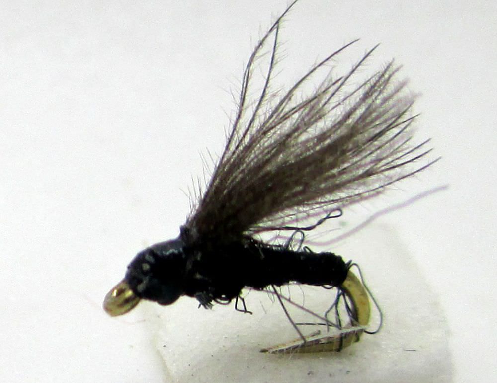 The Essential Fly Black F Fly Fishing Fly