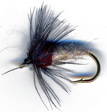 The Essential Fly Cream Caddis Pupa Brown Fishing Fly