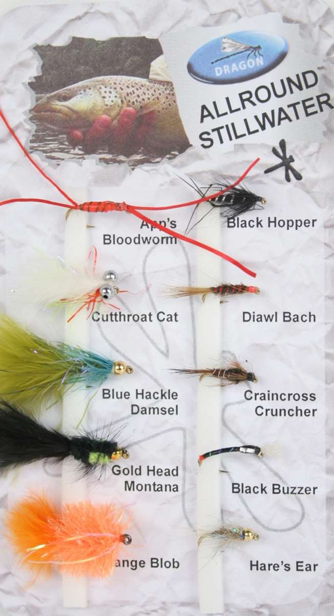 Dragon Tackle Allround Stillwater Fishing Fly Assortment