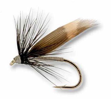 The Essential Fly Gravel Bed Northern Trout Fly Fishing Fly