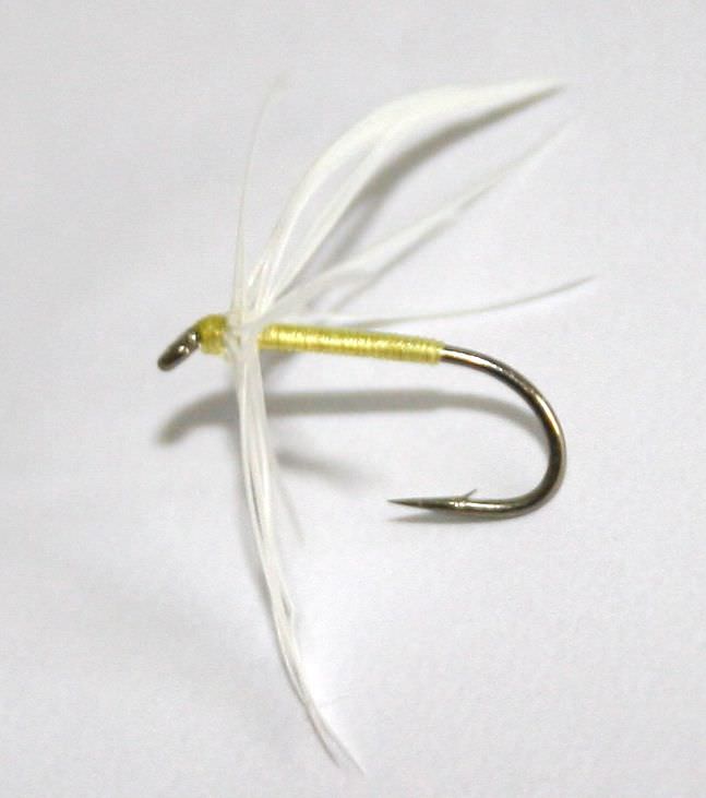 The Essential Fly Poult Bloa Northern Spider Trout Fly Fishing Fly