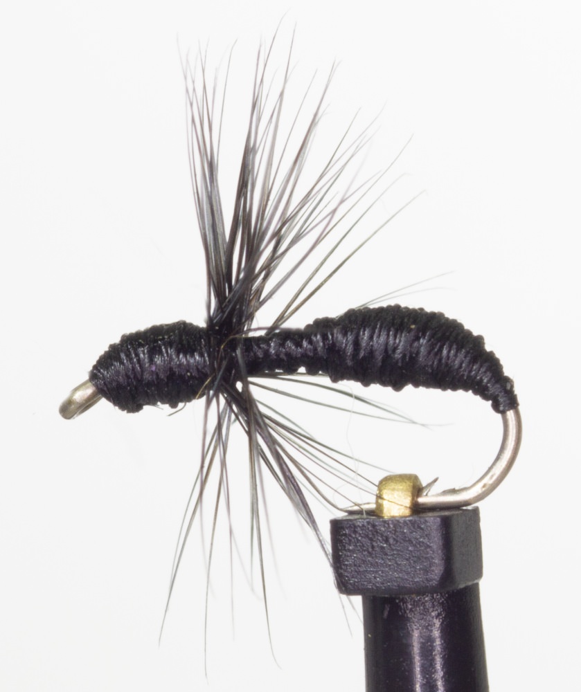 The Essential Fly Roach & Rudd Ant Black Fishing Fly