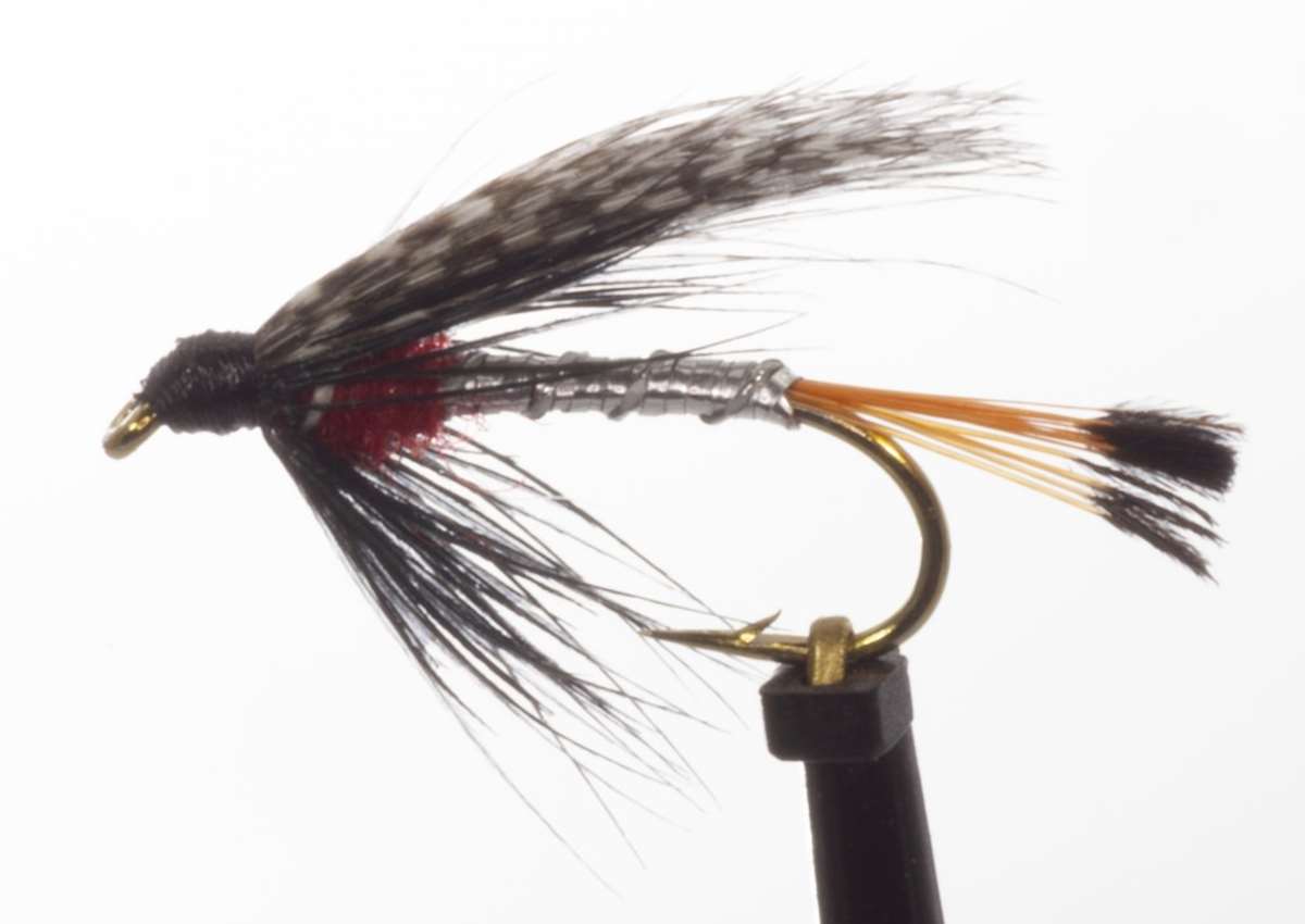 Essential fly Clearance