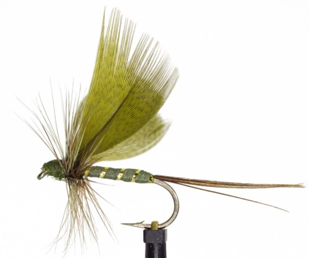 The Essential Fly Green Drake Mayfly Fishing Fly