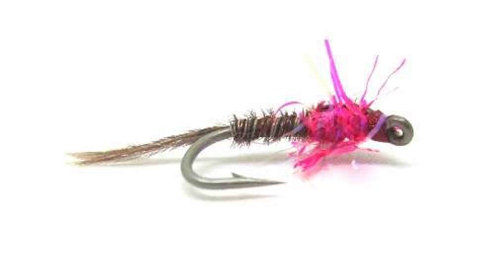 The Essential Fly Sandys Straggle Pheasant Tail Fl Pink Fishing Fly