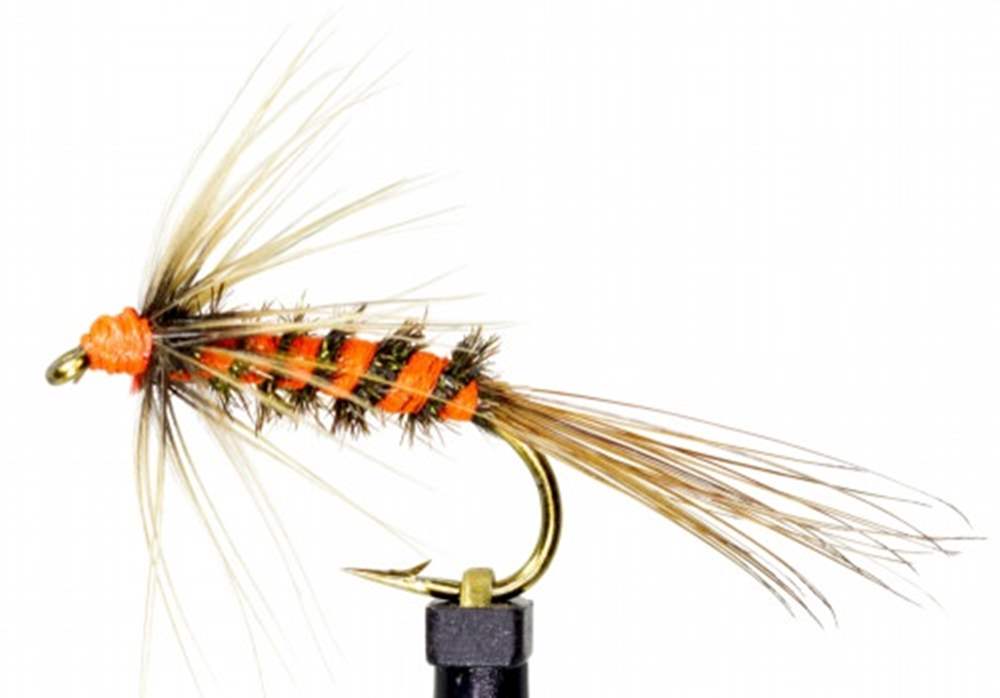 The Essential Fly Cruncher Hot Head Fishing Fly