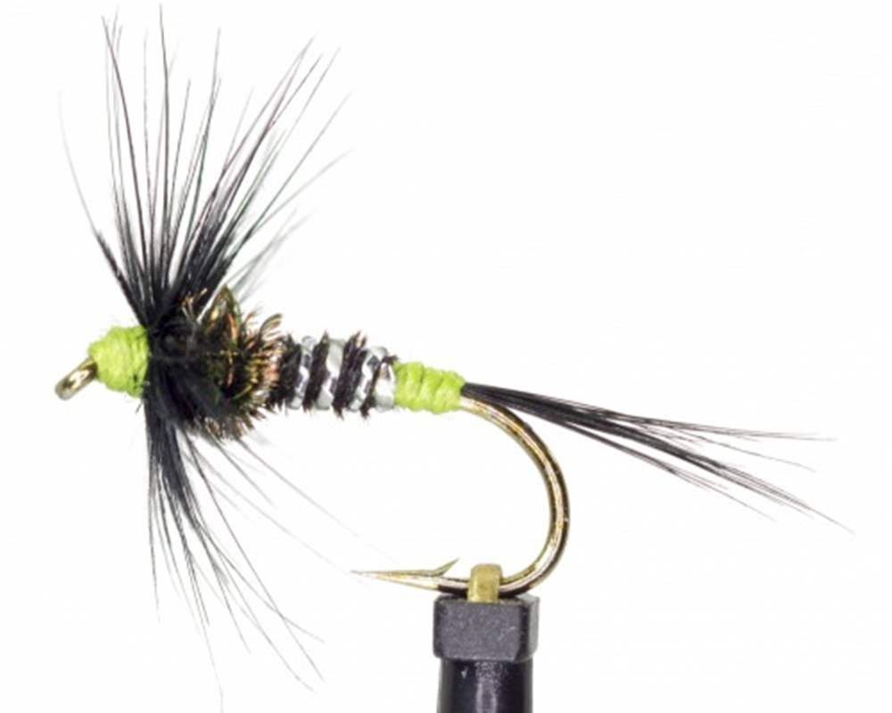 The Essential Fly Cruncher Viva Fishing Fly