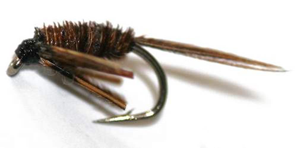 The Essential Fly Leggy Pheasant Tail (Pack 12 Flies) Fishing Fly