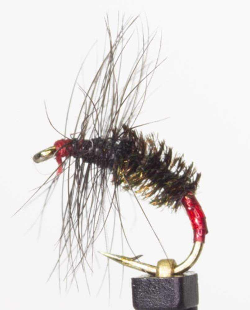 The Essential Fly Roach & Rudd Black Peacock Red Holo Fishing Fly