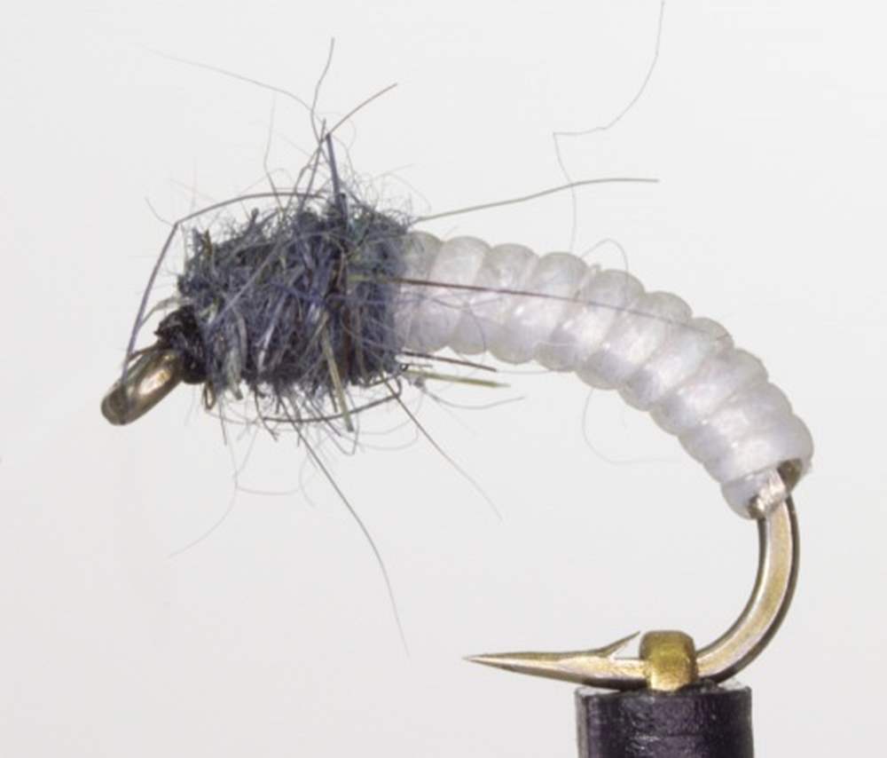 The Essential Fly Roach & Rudd Roach Grub Fishing Fly