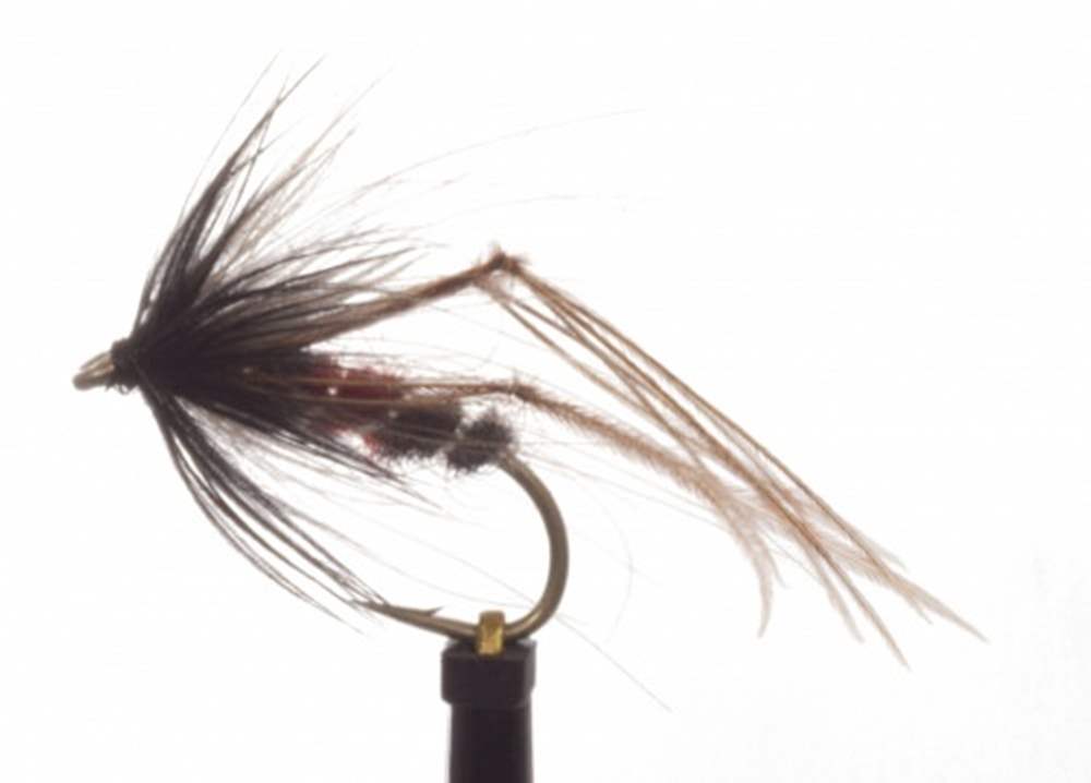 8 Pack Brown Bristol Hoppers Bristol Hoppers Mixed Sizes 12/14 Fishing Flies