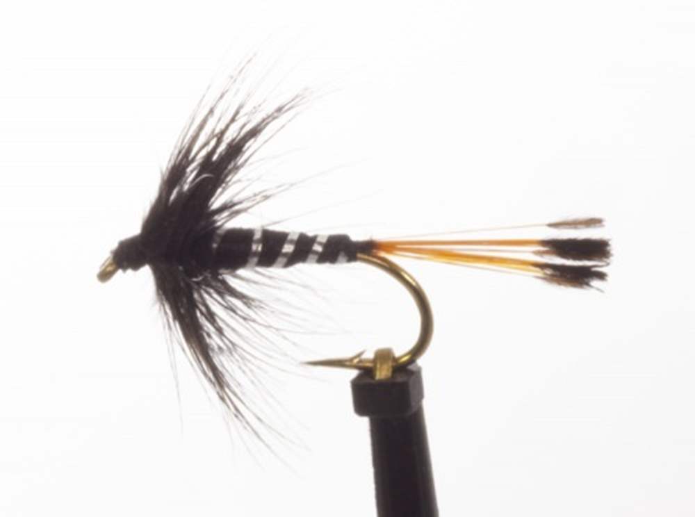 The Essential Fly Black Pennel Fishing Fly
