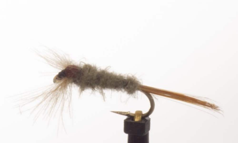 The Essential Fly Imago Sandy Dun Cdc Fishing Fly
