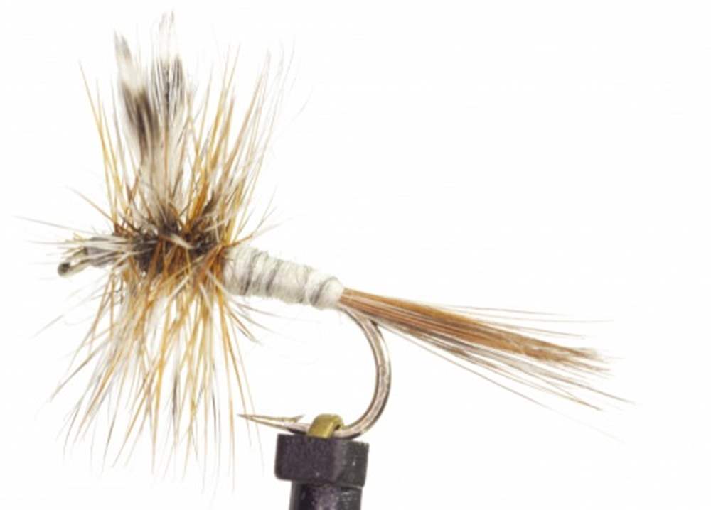 The Essential Fly Adams Dry Winged Fishing Fly