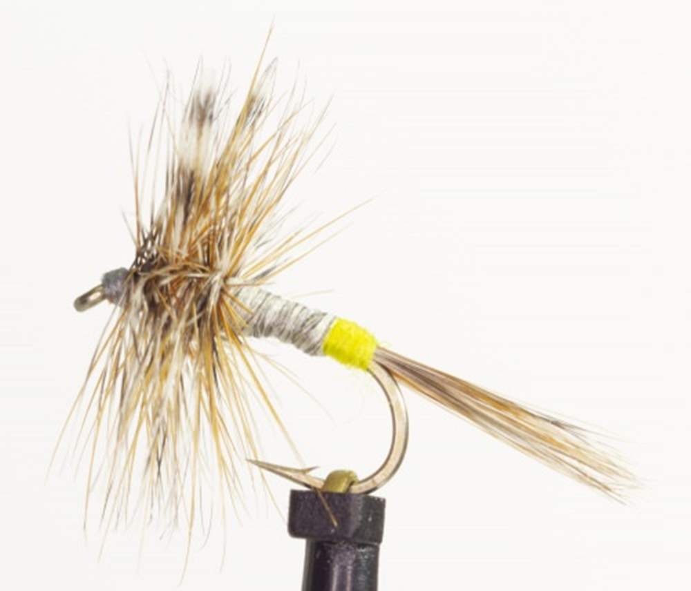 The Essential Fly Adams Female Dry Winged Fishing Fly