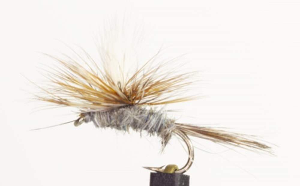 The Essential Fly Adams Parachute Fishing Fly