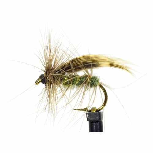 Sedge Trout Flies Great Patterns From The Essential Fly