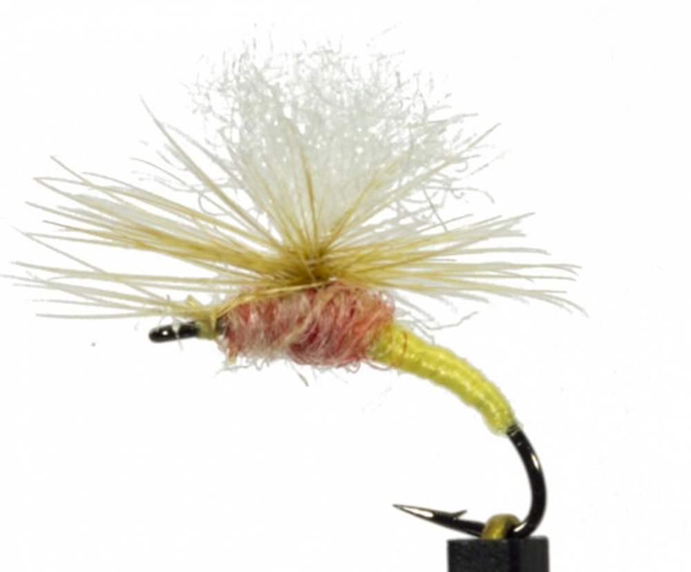 The Essential Fly Klinkhammer Tups Fishing Fly