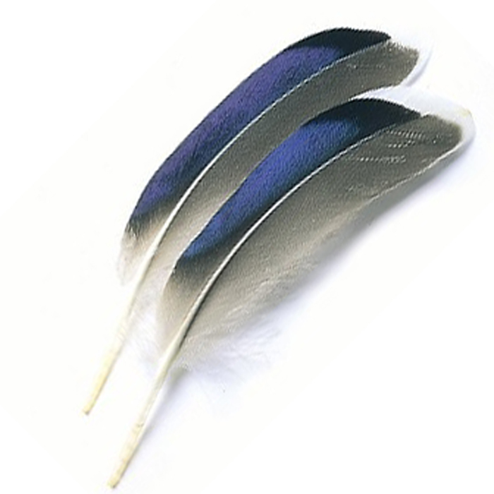 Turrall Wing Quills Butcher Blues Fly Tying Materials