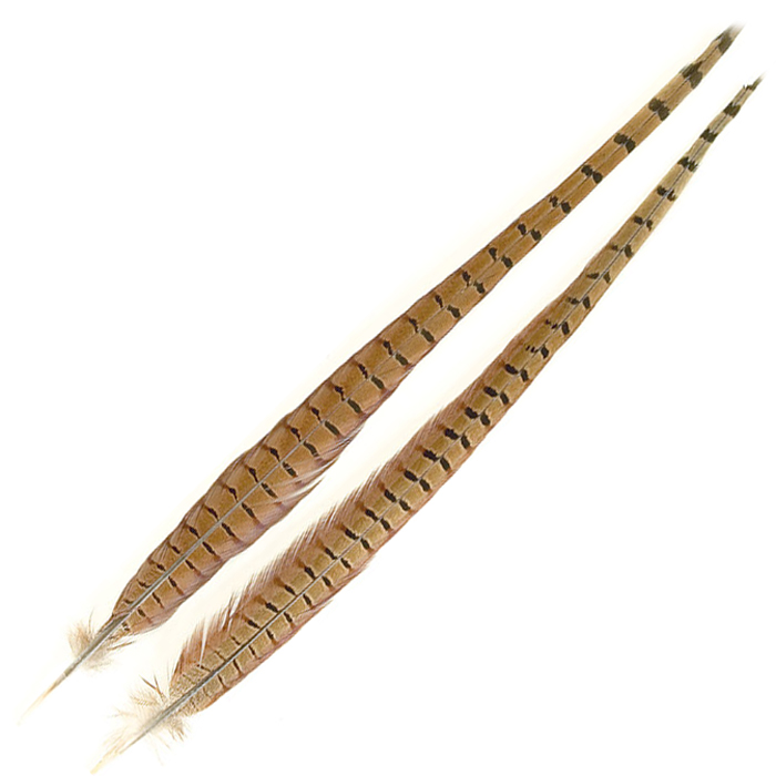 Turrall Cock Feather Pheasant Tail Natural Fly Tying Materials